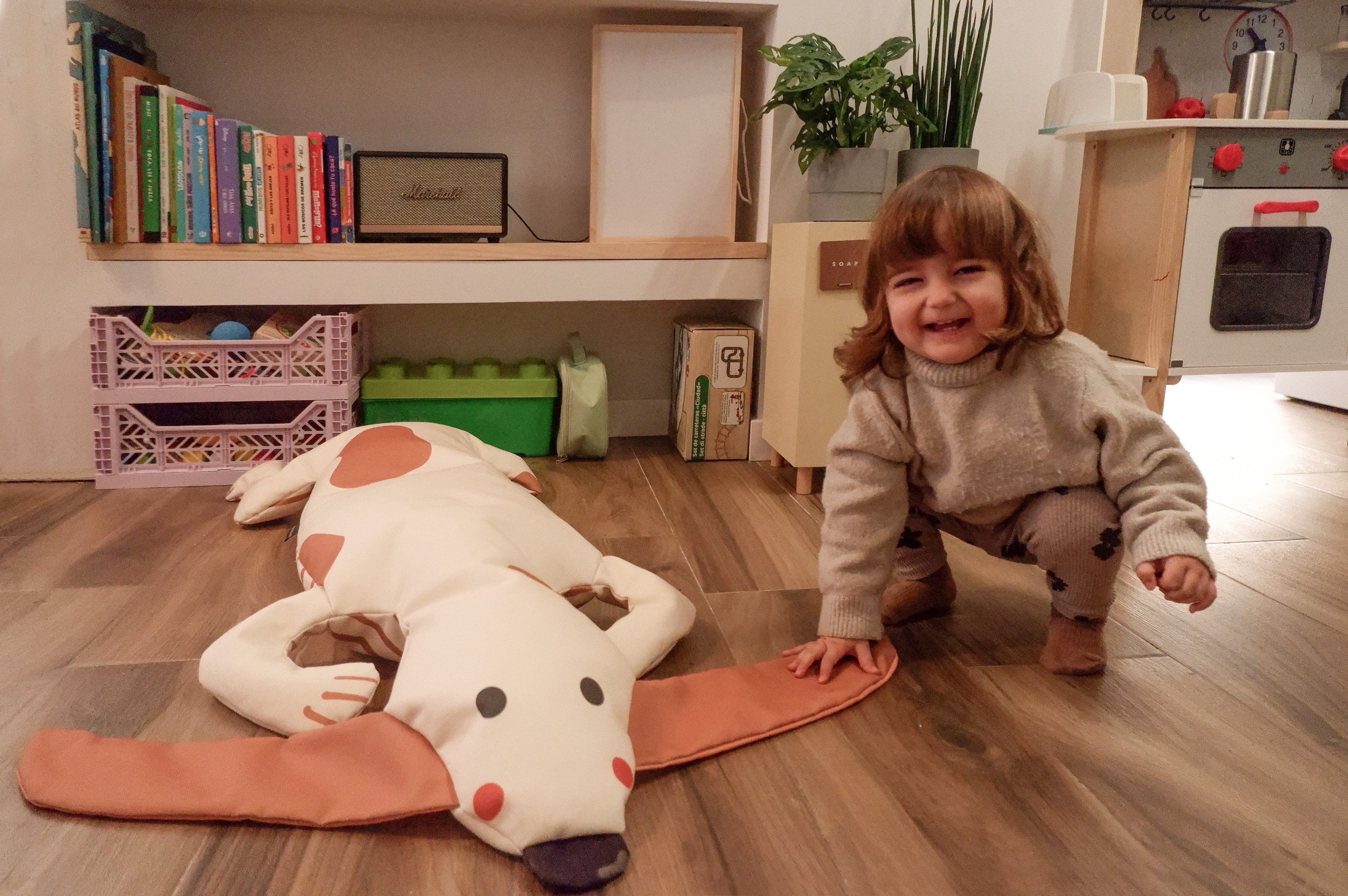 Sofa Animals (Dog)