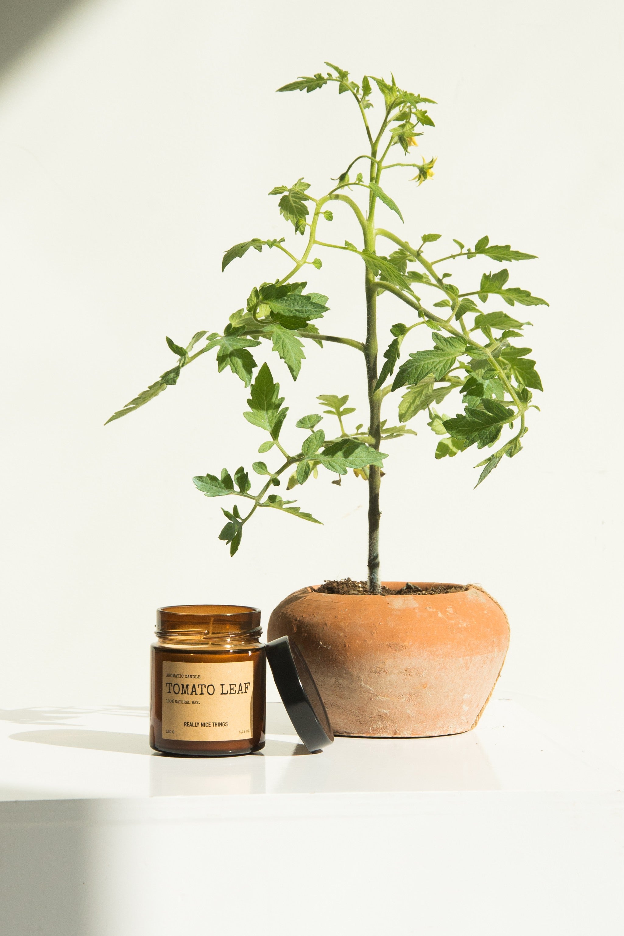 Tomato Leaf & Oregano Candle Set