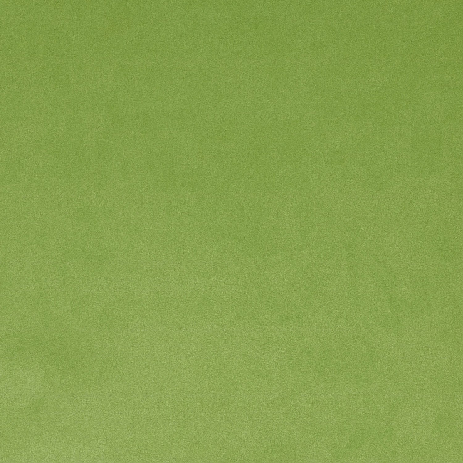 Tela Velvet Plain 010