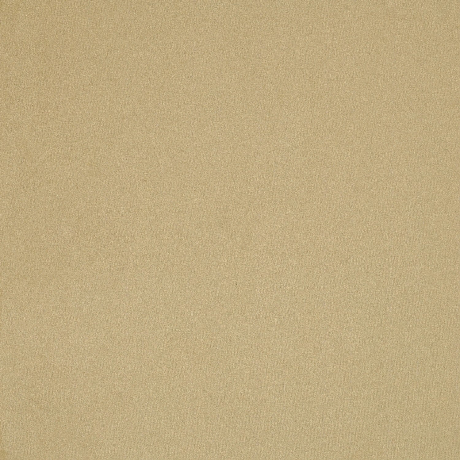 Tela Velvet Plain 011
