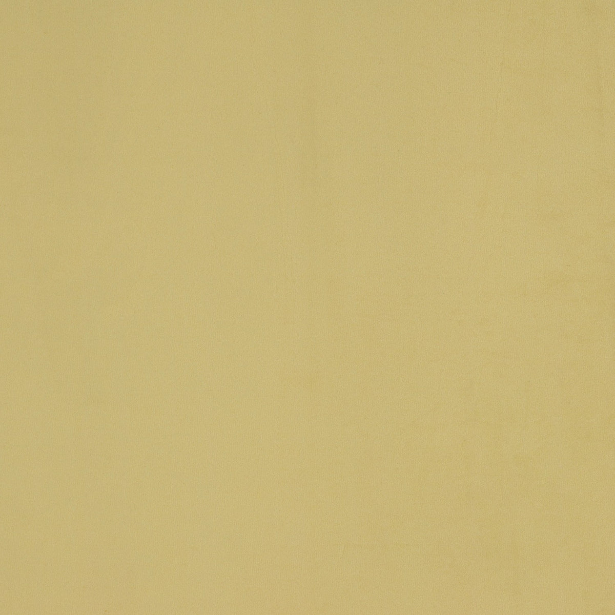 Tela Velvet Plain 013