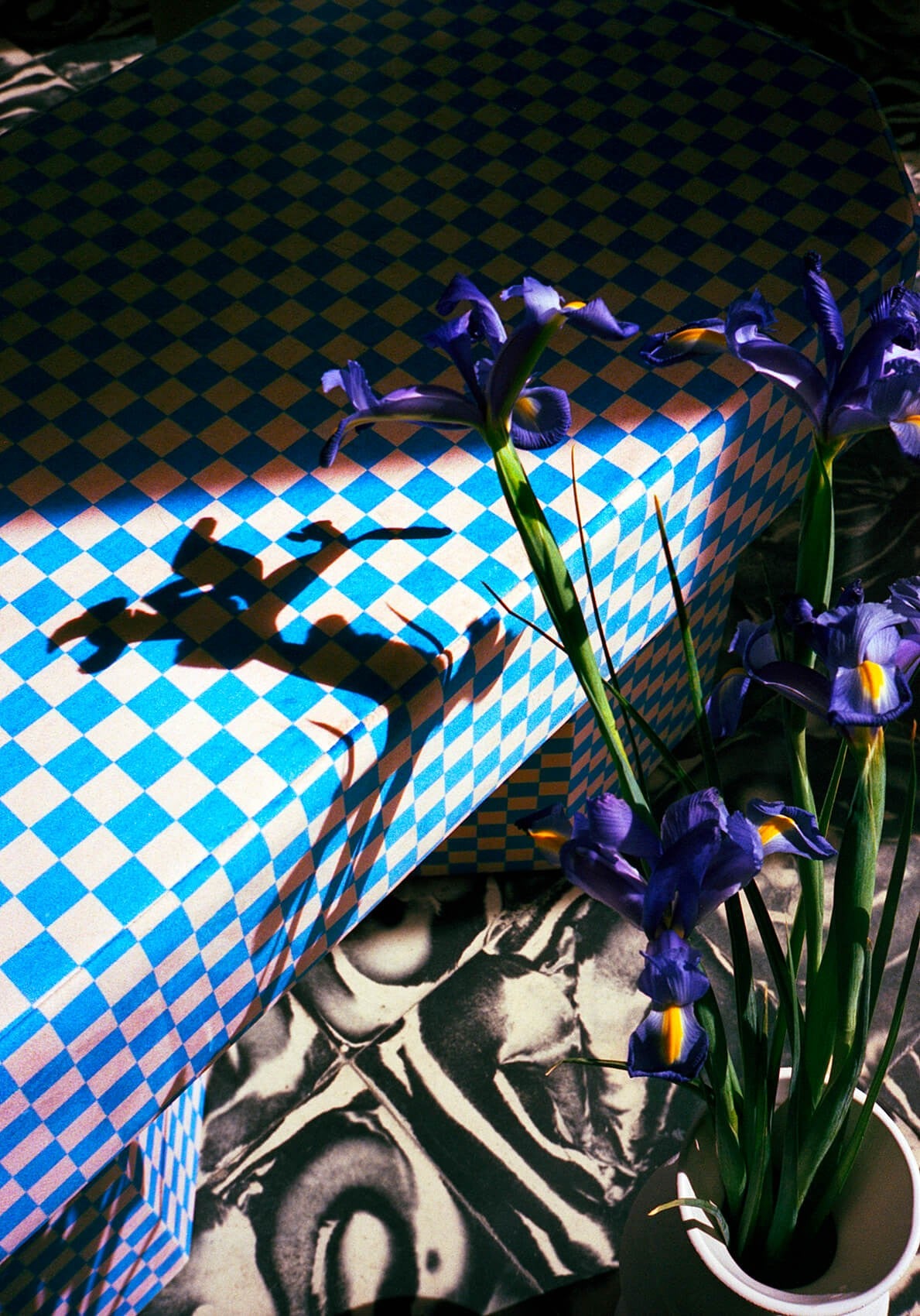 Viva Bench checkerboard rose et bleu