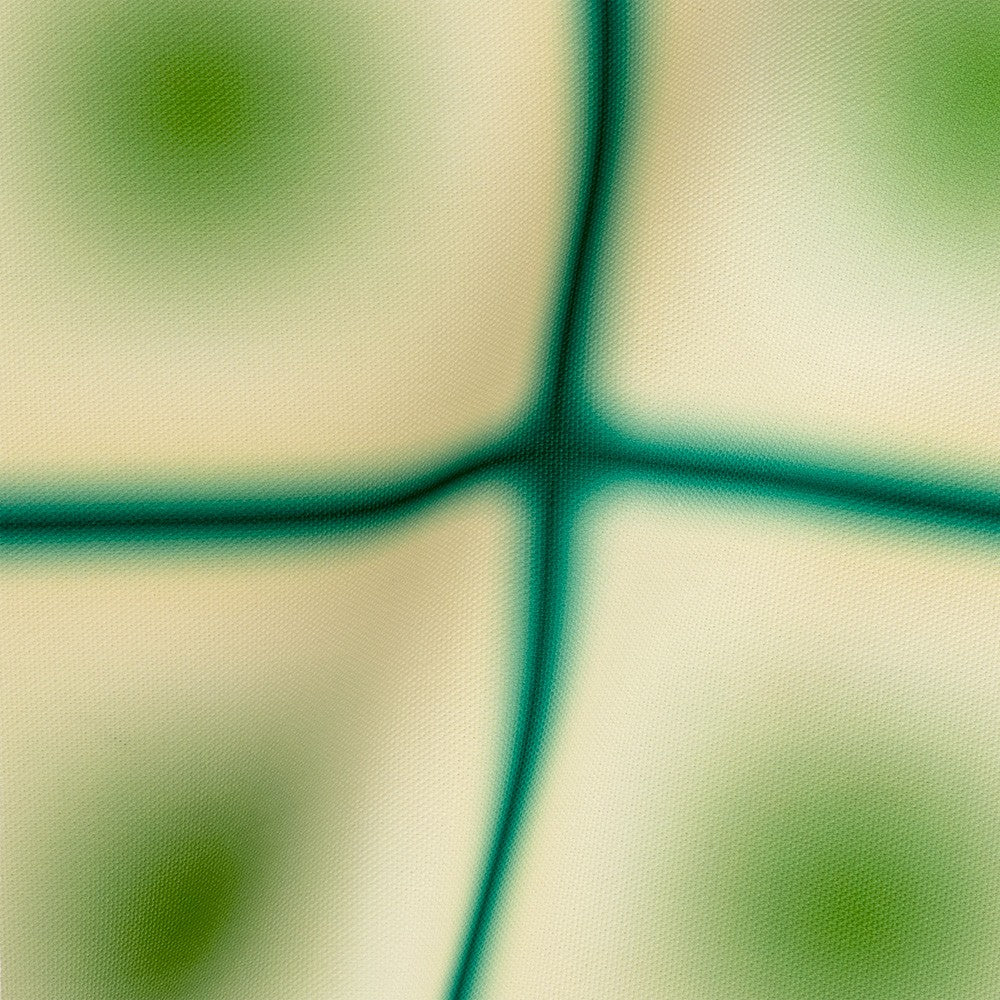 Tela Outdoor Lunar Grid Green