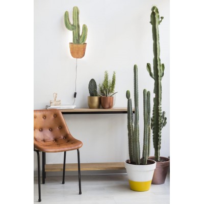 Shape Lamp Cactus