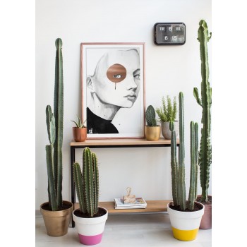 Cuadro Cobre Silence