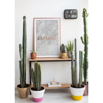 Cuadro Cobre Explore