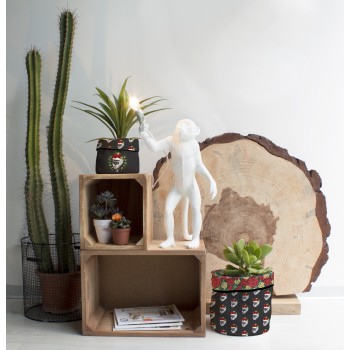 Set 2 Fundas Macetas Tropical