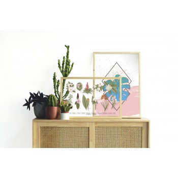 Moldura Natural Botanical Flowers