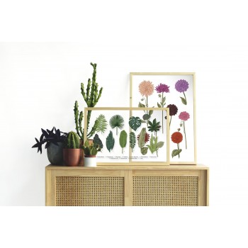 Moldura Natural Datura