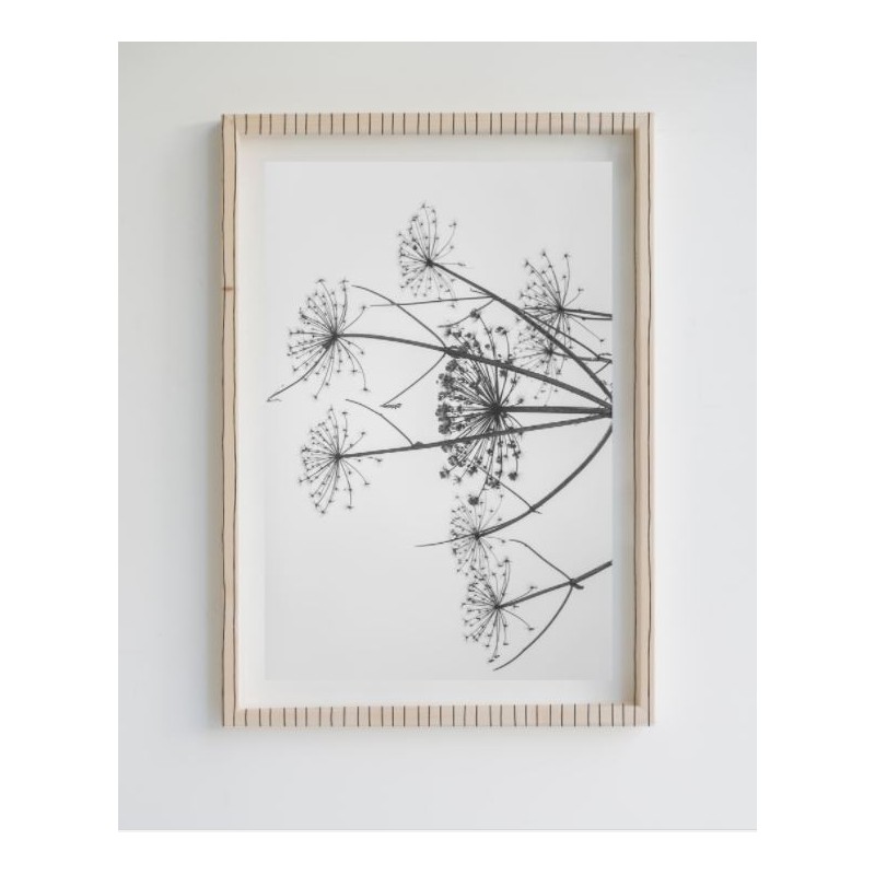 Painting Limited Edition Dandelion
