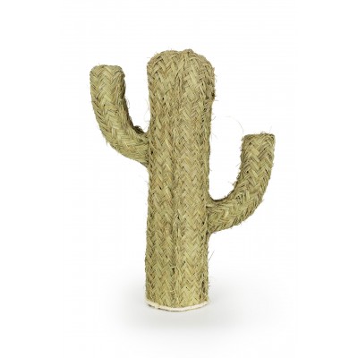 Cactus Esparto