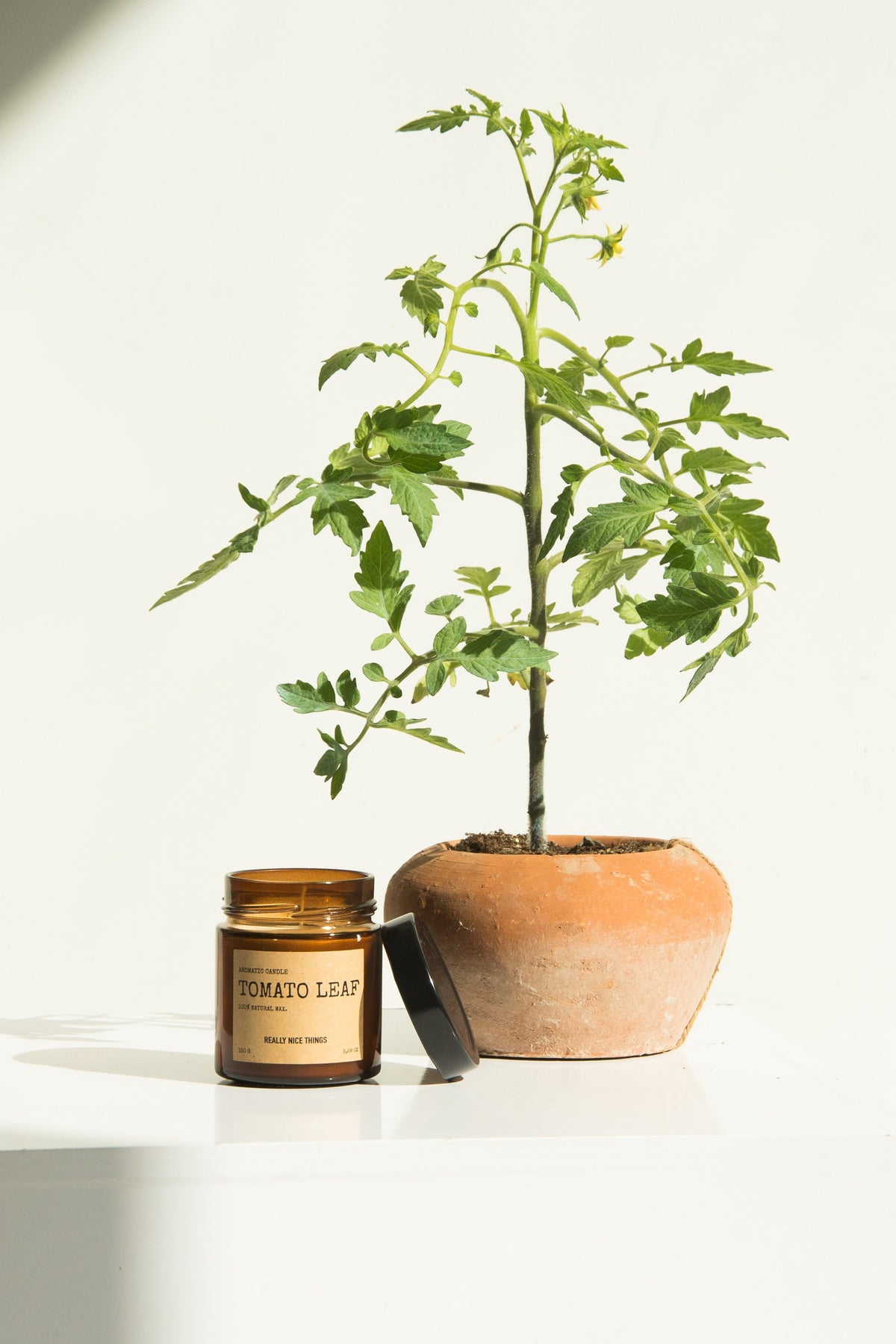 Tomato Leaf & Oregano Candle Set