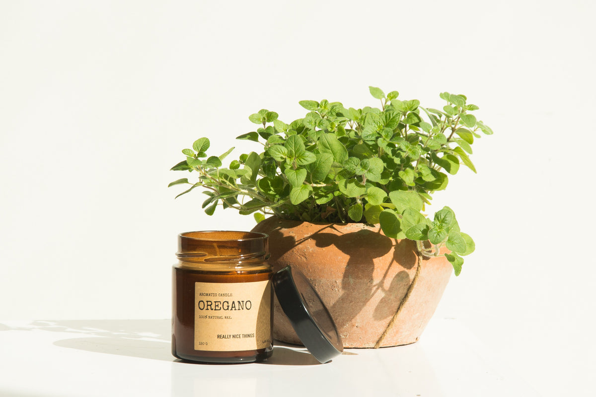 Tomato Leaf & Oregano Candle Set