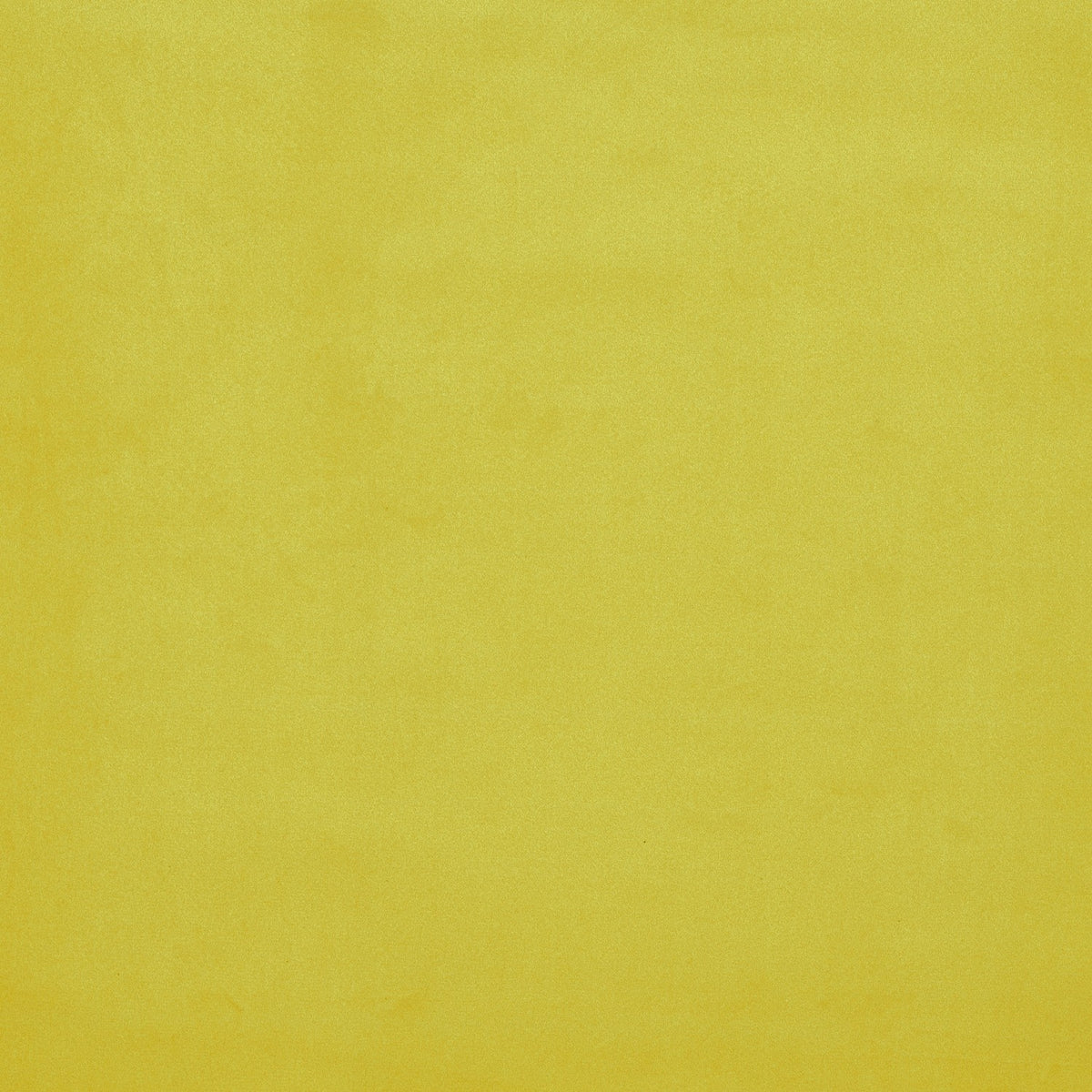 Tela Velvet  Plain 002