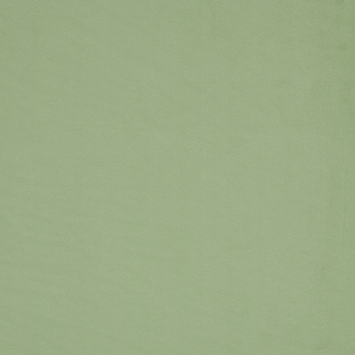 Tela Velvet  Plain 007