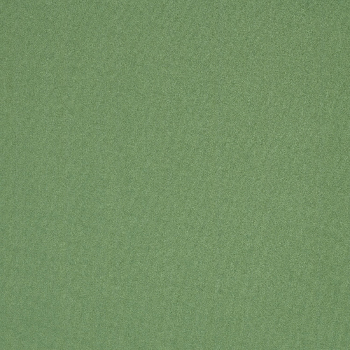 Tela Velvet  Plain 008