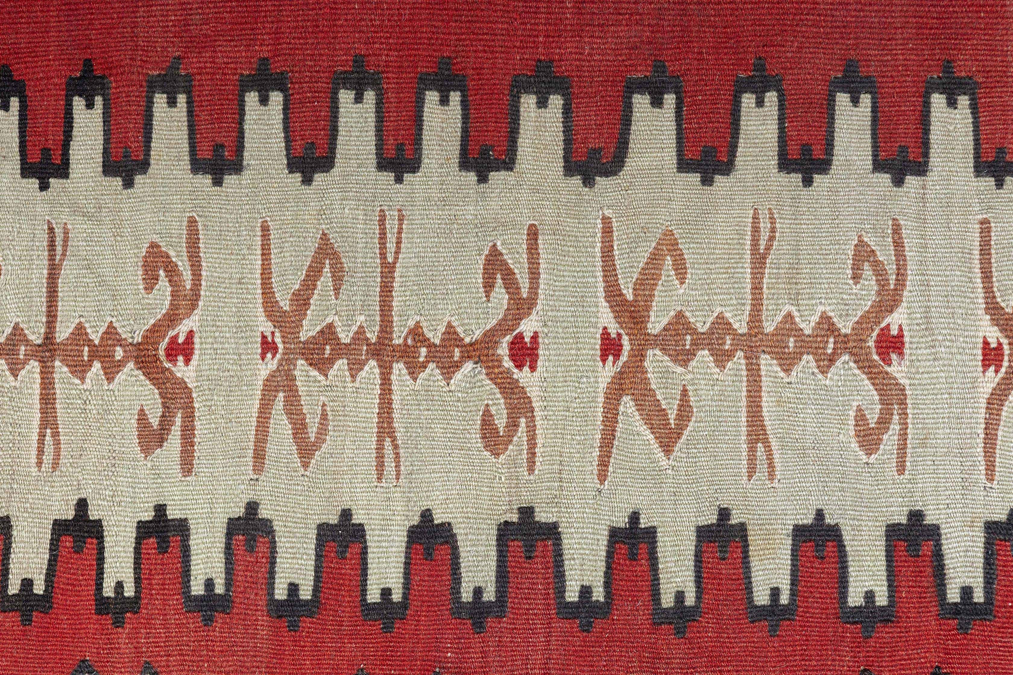 Ancient Sharkoy
