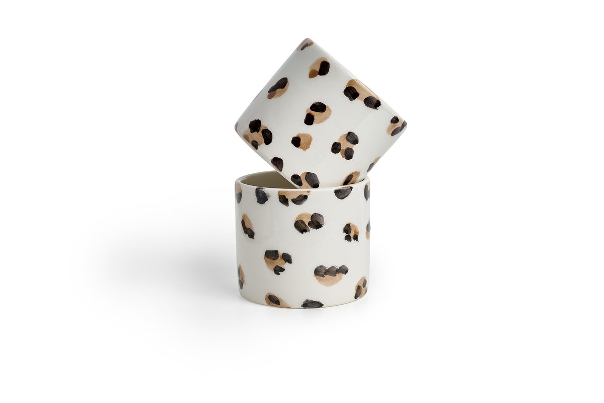 Set tazas Chetah